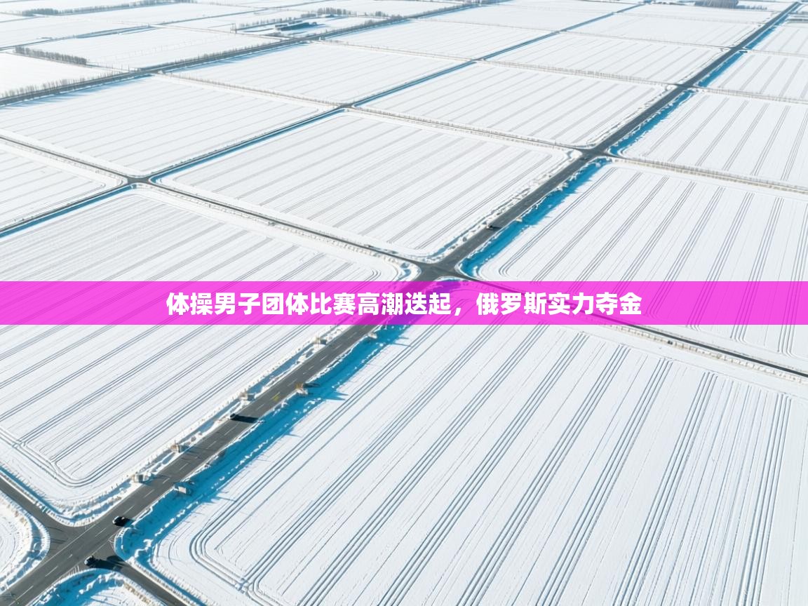 体操男子团体比赛高潮迭起，俄罗斯实力夺金