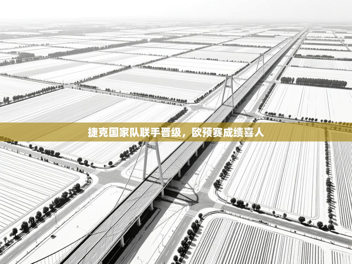 捷克国家队联手晋级，欧预赛成绩喜人