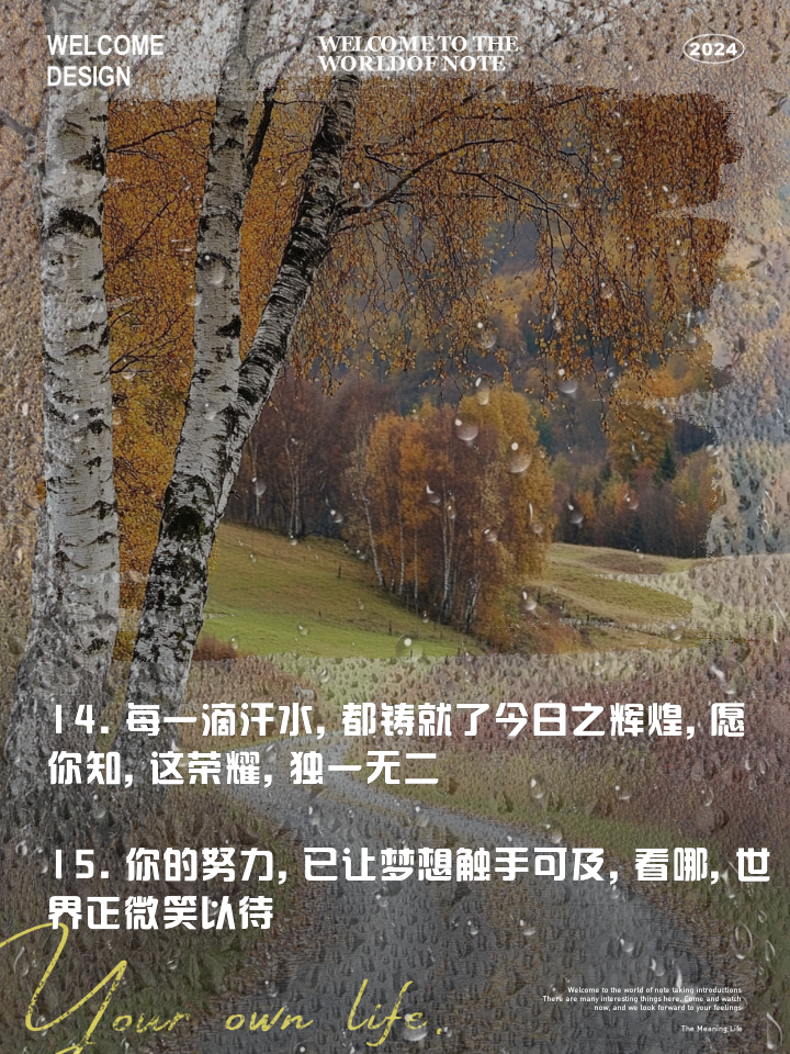 米乐体育官网-球队成绩斐然，晋级之路开阔